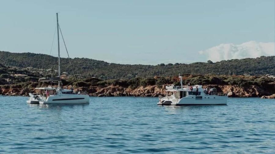 Ajaccio: Full-Day Private Catamaran Tour with Chez Francis - The Highlights: From Scenic Views to Local Flavors