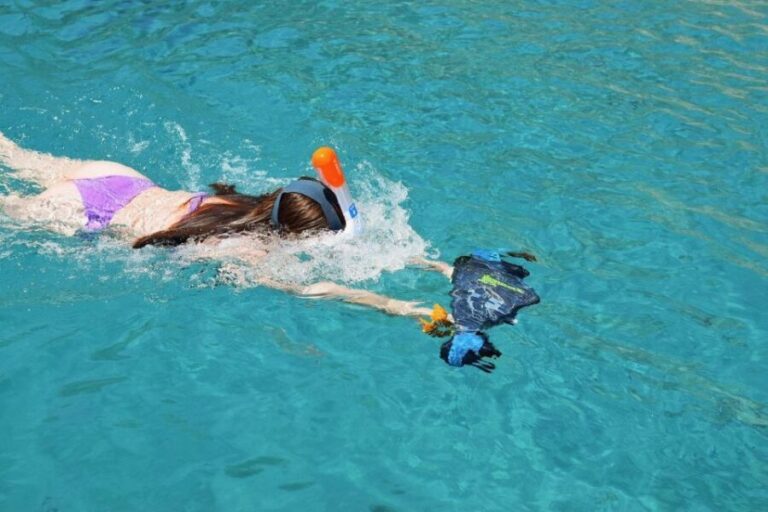 Ajaccio: Scandola - Girolata - Piana - Capo Rosso Tour - Who Should Book This Tour?