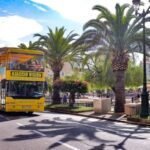 Ajaccio Sightseeing Tour - How the Tour Fits Your Travel Style