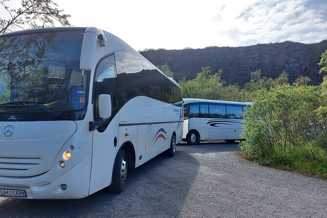 Akureyri Northern Light Tour - What Reviewers Say: Real Experiences