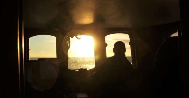 Akureyri: Whale Watching in the Midnight Sun - The Sum Up