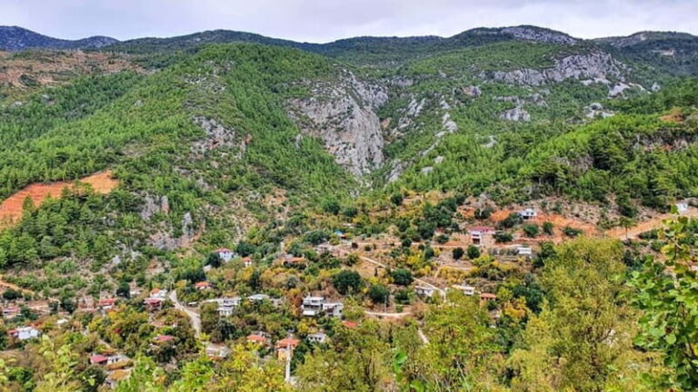 Alanya: Dim Cave and Dimçay River Jeep Safari Tour - Practical Details and Value