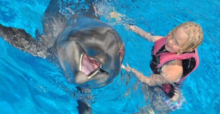 Alanya: Dolphin and Seal Show Ticket with Hotel Transfers - What to Expect at the Show