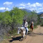 Alanya: Horse Riding Club Transfer Service - Practical Details and What to Expect