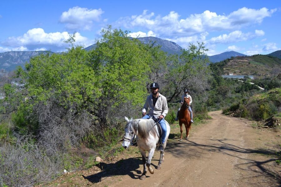 Alanya: Horse Riding Club Transfer Service - Practical Details and What to Expect