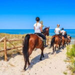Alanya: Horse Riding Tour with Hotel Transfers - The Value of the Tour: Price and Authenticity