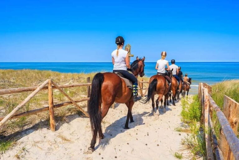 Alanya: Horse Riding Tour with Hotel Transfers - The Value of the Tour: Price and Authenticity