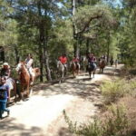 Alanya: Horseback Ride Through Nature near Syedra Ruins - The Horses and Guides: Why They Make a Difference