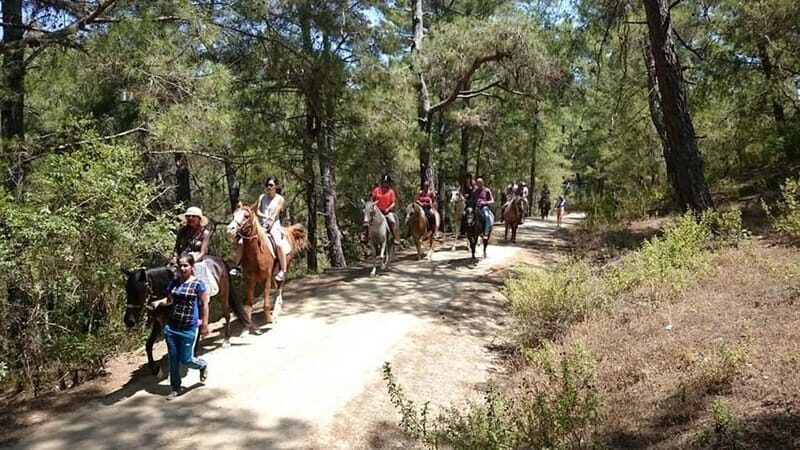 Alanya: Horseback Ride Through Nature near Syedra Ruins - The Horses and Guides: Why They Make a Difference