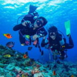 Alanya: Scuba Diving Adventure for Beginners & Professionals - What Makes This Tour Stand Out?