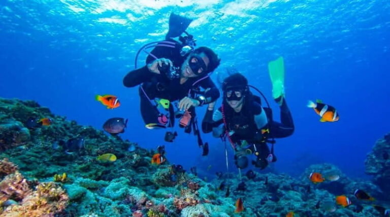 Alanya: Scuba Diving Adventure for Beginners & Professionals - What Makes This Tour Stand Out?