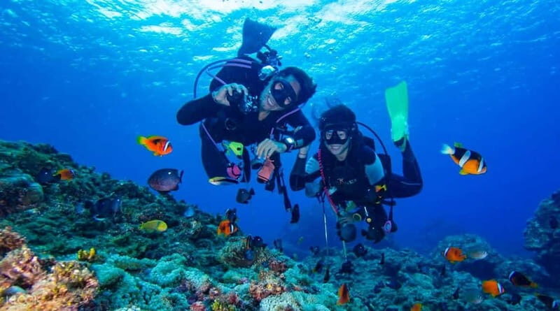 Alanya: Scuba Diving Adventure for Beginners & Professionals - What Makes This Tour Stand Out?