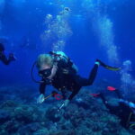 Alanya: Scuba Diving Tour with Lunch and Hotel Transfers - The Dive Itinerary in Detail