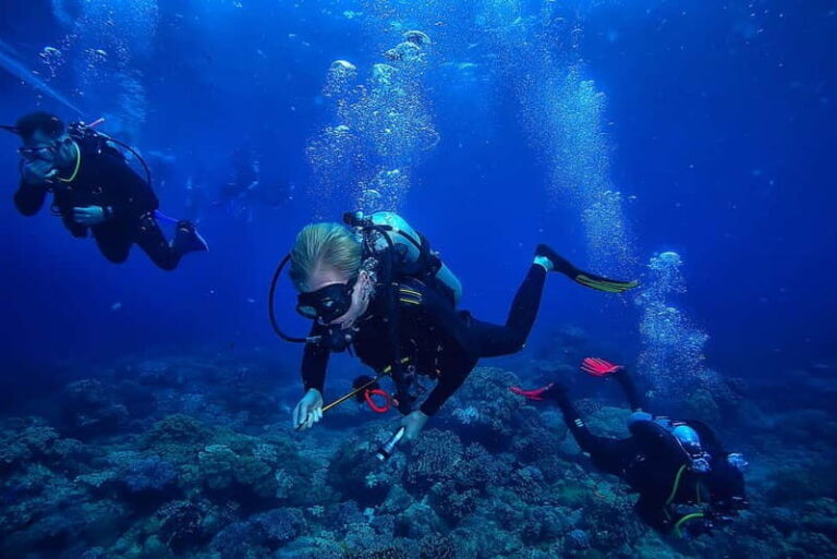 Alanya: Scuba Diving Tour with Lunch and Hotel Transfers - The Dive Itinerary in Detail
