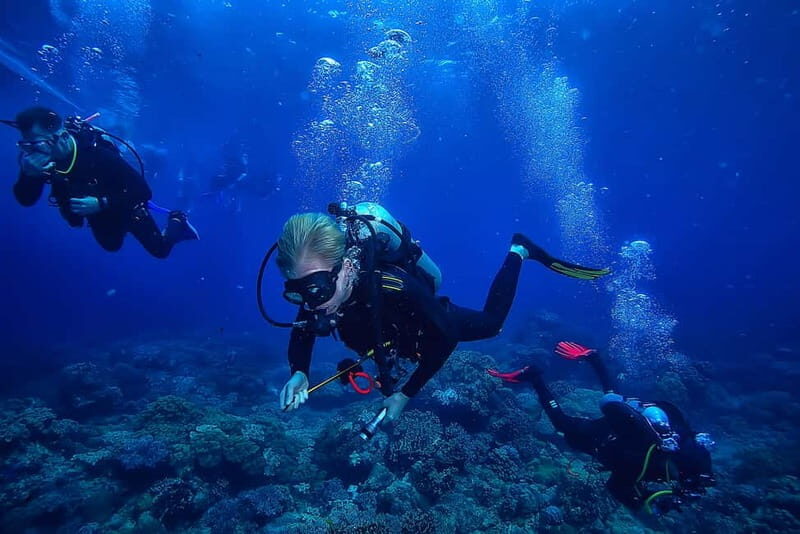 Alanya: Scuba Diving Tour with Lunch and Hotel Transfers - The Dive Itinerary in Detail