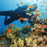 Alanya:Scuba Diving Boat Trip with Lunch and Transfer - Value and Suitability for Travelers