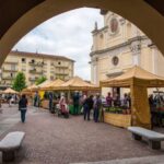 Alba: Historic Town Highlights Guided Walking Tour - What Makes This Tour Stand Out?