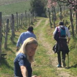 Alba: Wine Tasting and Tour with a Local Producer - Practical Details You Should Know