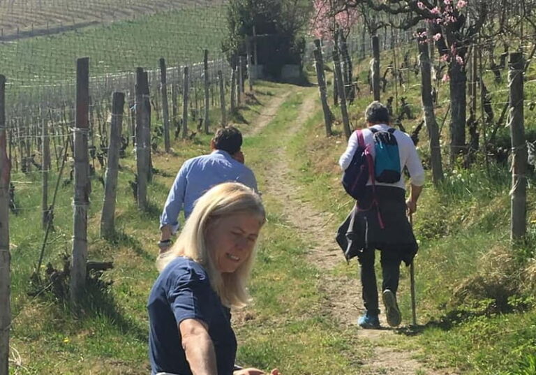 Alba: Wine Tasting and Tour with a Local Producer - Practical Details You Should Know