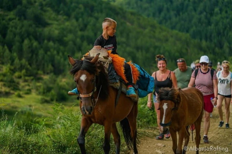 Albania: Berat Hiking &Off Road with mules,Tomor Holly Mount - Itinerary Breakdown: What to Expect