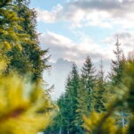 Albanian Alps: 3-Days Komani Lake, Valbona and Thethi Tour - What Makes This Tour Special?