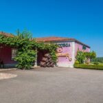 Albariño Private Wine Tour from Santiago de Compostela - Final Thoughts