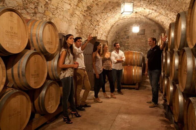 Albariño Wine Tour: Taste, Learn & Take Home a Special Gift - Who Will Love It?