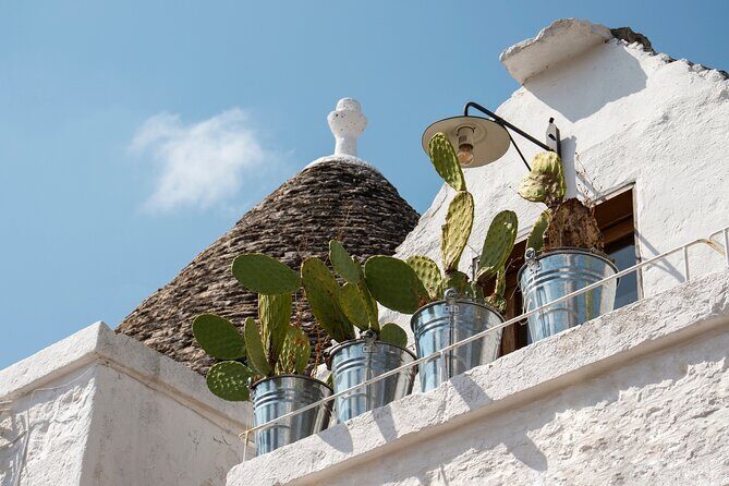 Alberobello: 2-hour Walking Tour - Group or Private - Who Should Consider This Tour?