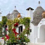 Alberobello & Matera, From Bari with Comfortable Transport - The Journey: A Deep Dive into the Experience