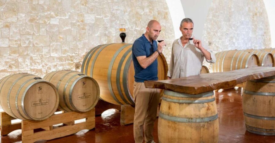 Alberobello: Winery Tour with Wine and Food Tasting - The Sum Up: A Genuine Taste of Apulia’s Wine and Food