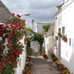 Alberobello with a local tour guide!(shared tour max.15 pax) - The Sum Up