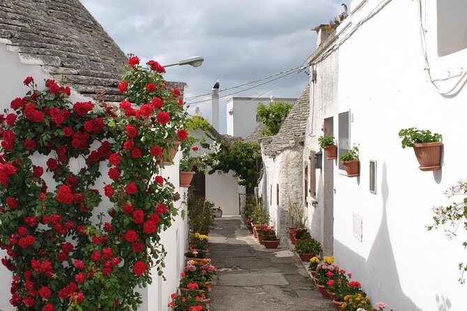 Alberobello with a local tour guide!(shared tour max.15 pax) - The Sum Up