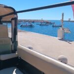 Albufeira: A Local Experience w/food tasting & local shops - Who Will Love This Tour?