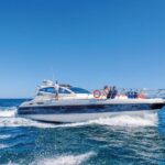 Albufeira: Algarve Half-Day Private Yacht Charter - The Value of the Algarve Half-Day Private Yacht Charter