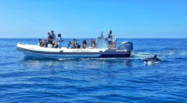 Albufeira: Benagil Cave and Dolphin Sightseeing Boat Cruise - Who Should Take This Tour?