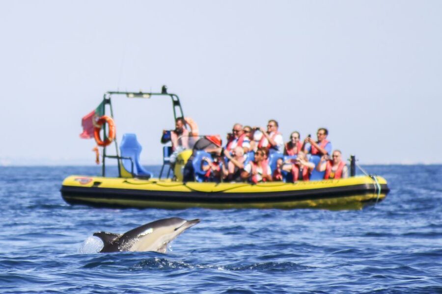Albufeira: Benagil Caves & Dolphin Watching Speed Boat Tour - The Value of This Tour