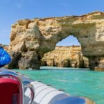 Albufeira: Dolphins, Benagil Caves and Coastline Boat Tour - Who Will Love This Tour?