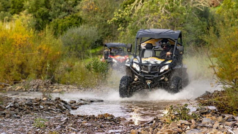 Albufeira: Full-Day Buggy Driving Tour with Lunch Included - Who Will Love This Tour?