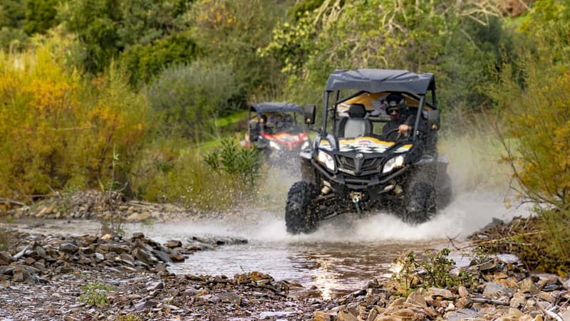 Albufeira: Full-Day Buggy Driving Tour with Lunch Included - Who Will Love This Tour?