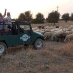 Albufeira: Jeep Safari Half-Day Countryside Tour - Authentic Experiences You Can Expect