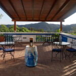 Albufeira, Olhão, Faro: visit to a vineyard, free time in Silves - Transportation and Group Size