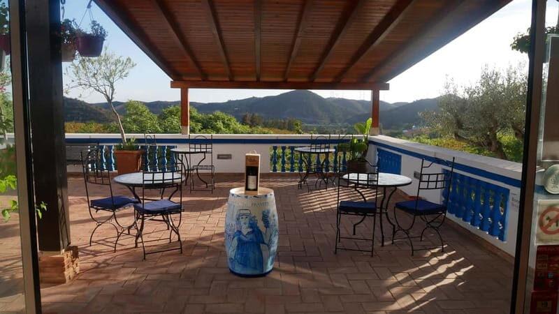 Albufeira, Olhão, Faro: visit to a vineyard, free time in Silves - Transportation and Group Size