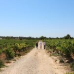 Albufeira/Porches/Vilamoura: Wine Tasting with Tapas & Music - The Itinerary in Detail