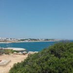 Albufeira: Private Tuk Tuk Tour - What to Expect from the Itinerary