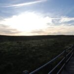 Albufeira: Salgados Nature Reserve Segway Tour - Who Would Love This Tour?