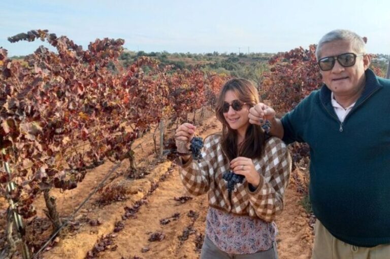 Albufeira/Vilamoura: Winery Tour with Wine Tasting and Tapas - Who Will Love This Tour?