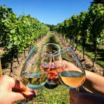 Albufeira: Wine Tasting Tour with Castle and Windmill Visit - What to Expect on the Tour