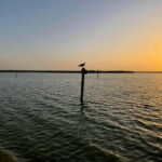 Albufera Bike Adventure: Wetlands, Beaches & Biodiversity - Practical Details: What You Need to Know