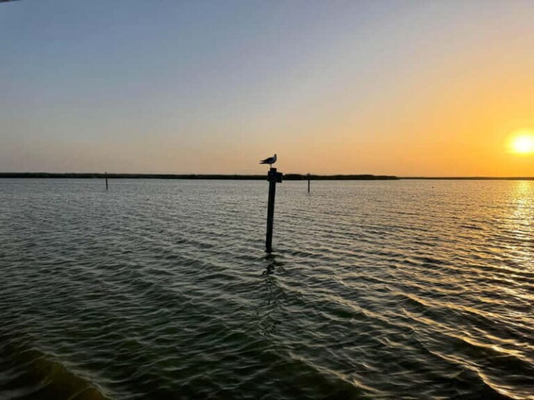 Albufera Bike Adventure: Wetlands, Beaches & Biodiversity - Practical Details: What You Need to Know