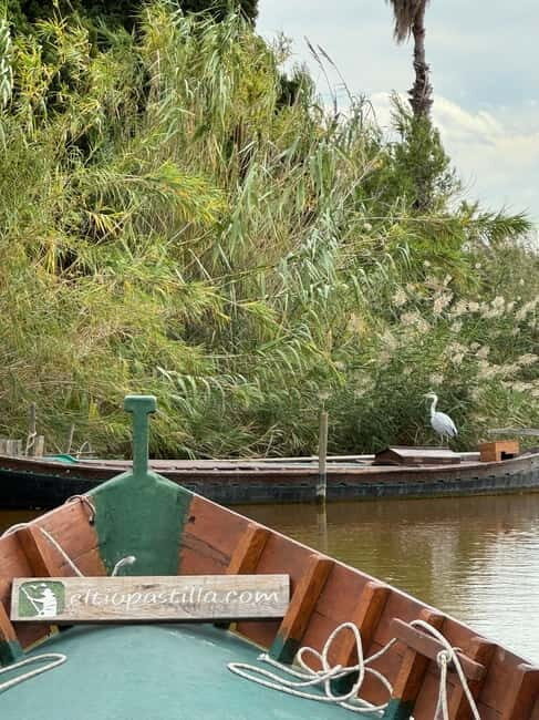 Albufera de Valencia: Guided boat ride through the Albufera - Highlights of the Experience